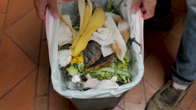 Coushatta, LA Junk Removal Services Company